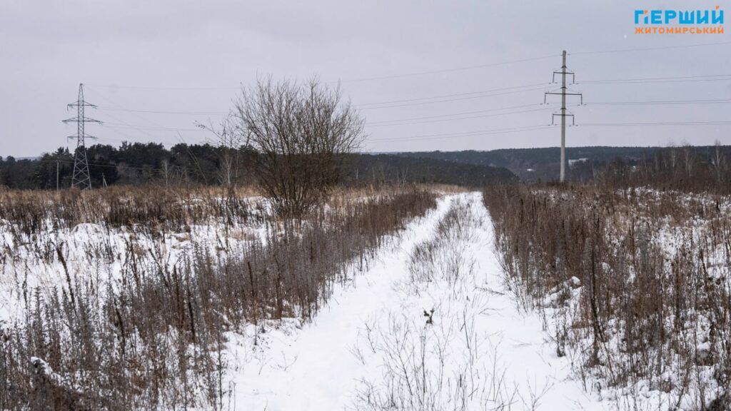 зимові краєвиди