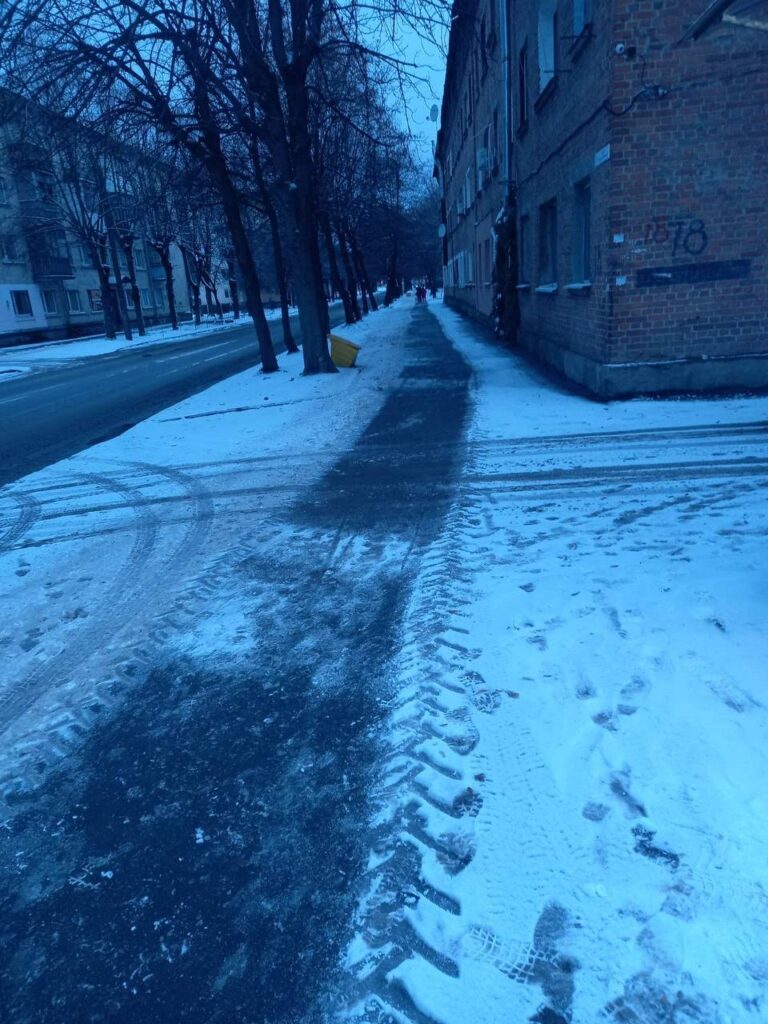 У Житомирі снігопад