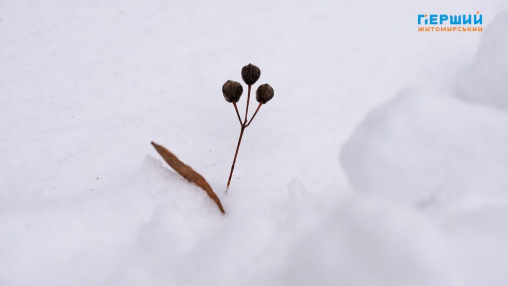 зимова погода