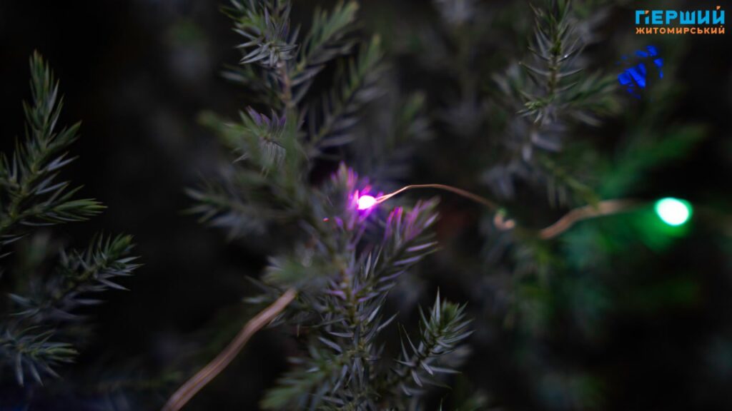 6 грудня – День Збройних сил України та День...