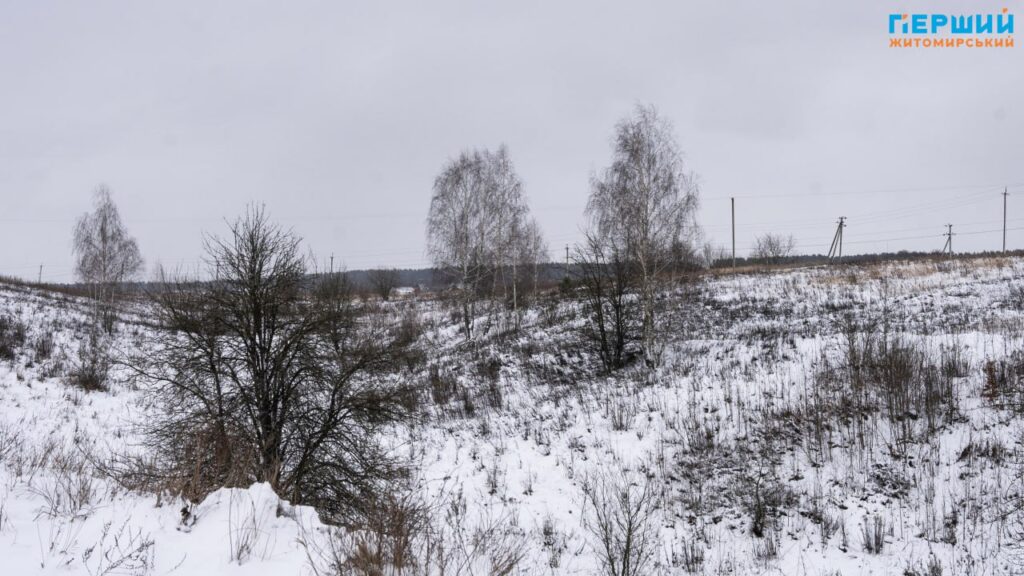зимові краєвиди