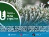 У Столичній філії «Ліси України» планують реалізувати понад 7 тисяч легальних новорічних ялинок, понад 6 тисяч із них — на Житомирщині