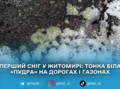 Перший сніг у Житомирі: тонка біла «пудра» на дорогах і газонах
