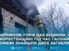 За добу на Житомирщині сталися дві пожежі в приватних будинках — у Пристанційному загинули двоє чоловіків