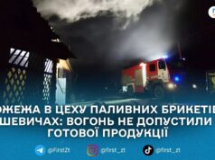У Вишевичах рятувальники загасили пожежу в цеху з виробництва паливних брикетів — ДСНС