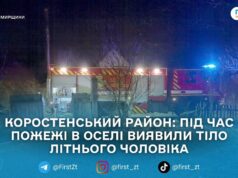 На Житомирщині під час пожежі в житловому будинку загинув 82-річний чоловік — ДСНС
