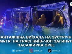 Неподалік Житомира у подвійній ДТП загинула 19-річна пасажирка мікроавтобуса — поліція
