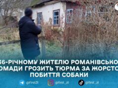 У Романові чоловік жорстоко побив собаку: поліція повідомила про підозру