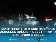 У Житомирському районі внаслідок ДТП загинув водій легковика