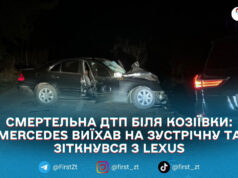 У Житомирському районі внаслідок ДТП загинув водій легковика