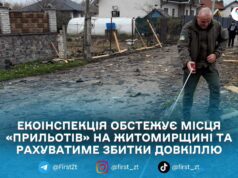 Після атаки РФ на Житомирщину екоінспекція фіксує збитки довкіллю