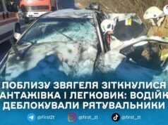 Звягель: рятувальники деблокували водійку з понівеченої автівки після ДТП з вантажівкою
