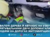 На Житомирщині прибирали дерева з дороги та відбуксирували автобус, що з’їхав на узбіччя через ожеледицю