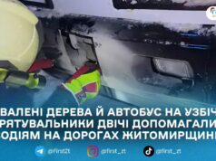 На Житомирщині прибирали дерева з дороги та відбуксирували автобус, що з’їхав на узбіччя через ожеледицю