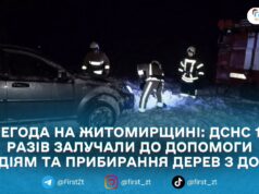 Рятувальники Житомирщини 13 разів виїжджали на ліквідацію наслідків негоди: допомагали водіям і прибирали повалені дерева