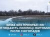 Засніжені околиці Житомира: зимові краєвиди у фоторепортажі Євгенія Старчука