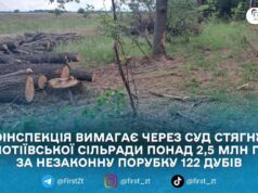 Незаконна рубка дубів: екоінспекція подала позов до Потіївської сільради на 2,57 млн грн