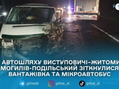 На трасі біля Бердичева травмувався водій мікроавтобуса