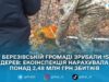 Незаконна порубка дерев у Березівській громаді: збитки — майже 2,5 млн грн
