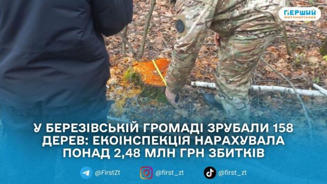 сайт головна (35)