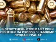У Коростені чоловіка засудили до 3 років за зберігання та збут боєприпасів
