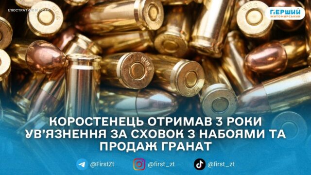 У Коростені чоловіка засудили до 3 років за зберігання...