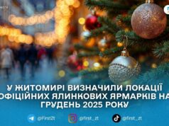 У Житомирі з 4 грудня запрацюють ялинкові ярмарки
