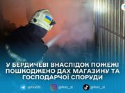 У Бердичеві рятувальники загасили пожежу в господарчій будівлі та магазині