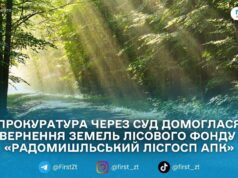 За рішенням суду понад 3 га лісу на Житомирщині повернуть постійному лісокористувачу