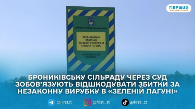 Екоінспекція вимагає майже 6 млн грн за незаконну вирубку...