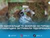 Убив односельця та закопав на городі: на Житомирщині затримали підозрюваного