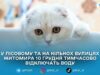 10 грудня частина Житомира залишиться без води через аварійні роботи
