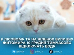 10 грудня частина Житомира залишиться без води через аварійні роботи