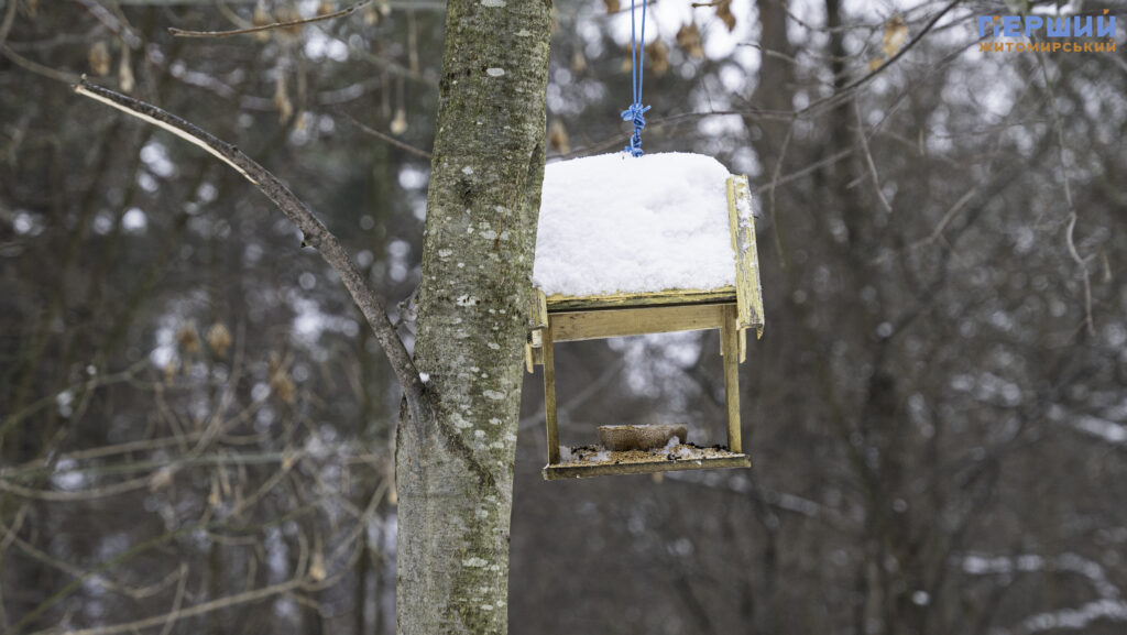 Зимовий Житомир: як містяни проводять вихідні у Гідропарку