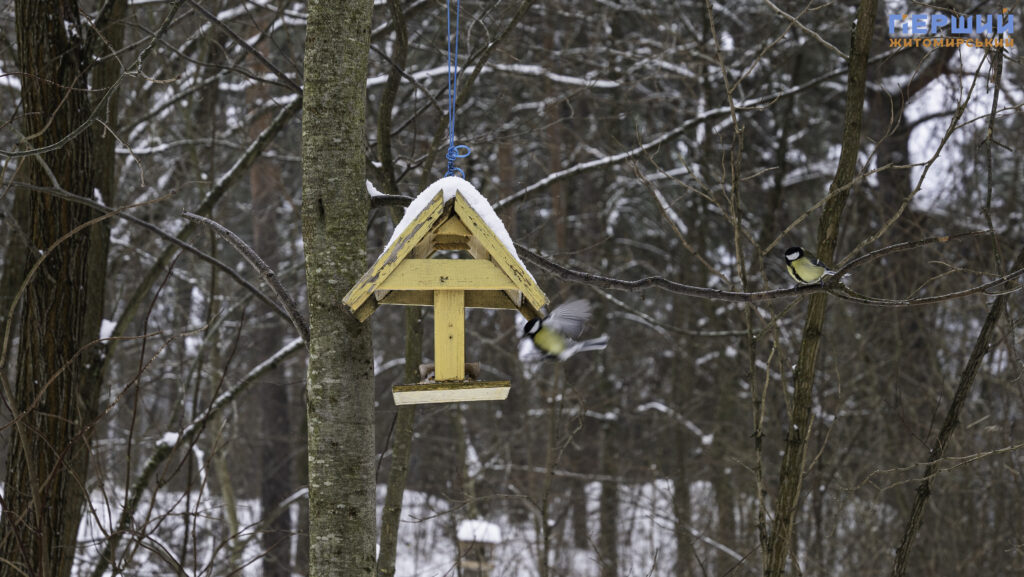 Зимовий Житомир: як містяни проводять вихідні у Гідропарку