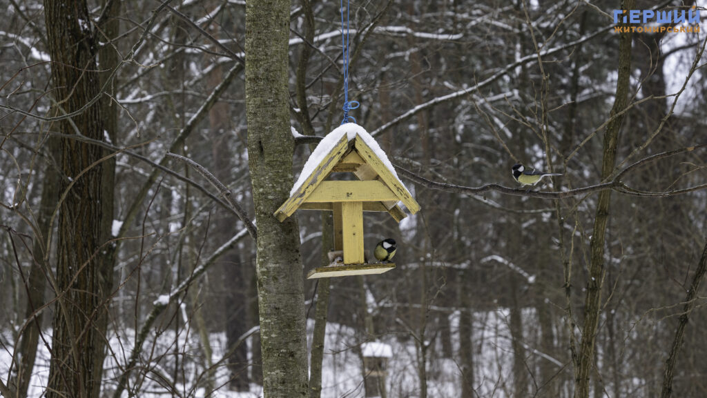 Зимовий Житомир: як містяни проводять вихідні у Гідропарку