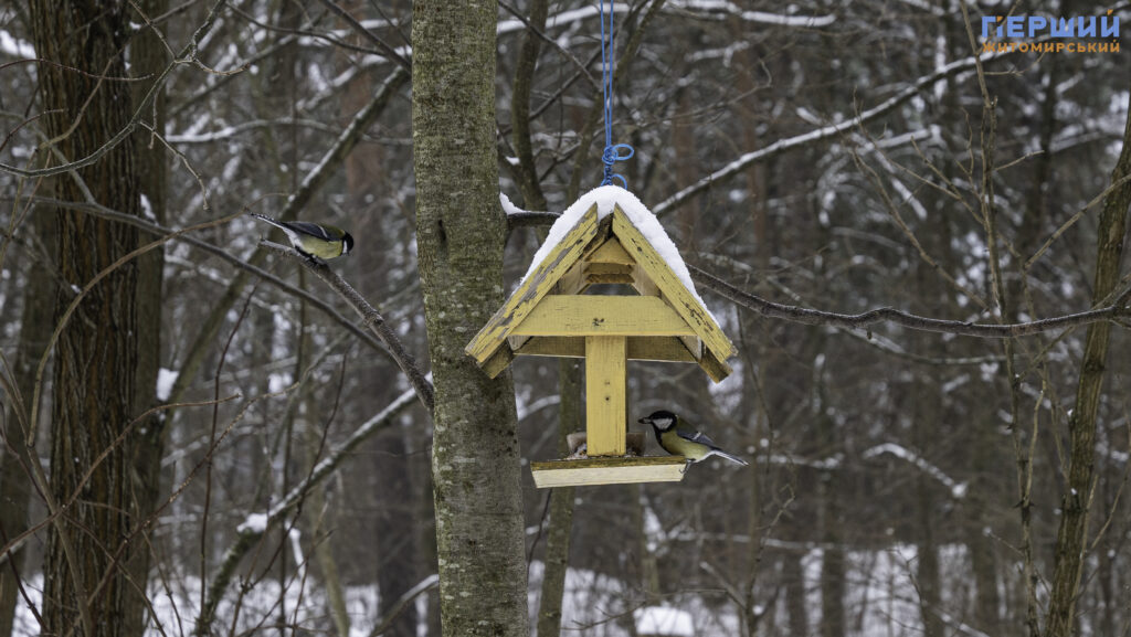 Зимовий Житомир: як містяни проводять вихідні у Гідропарку