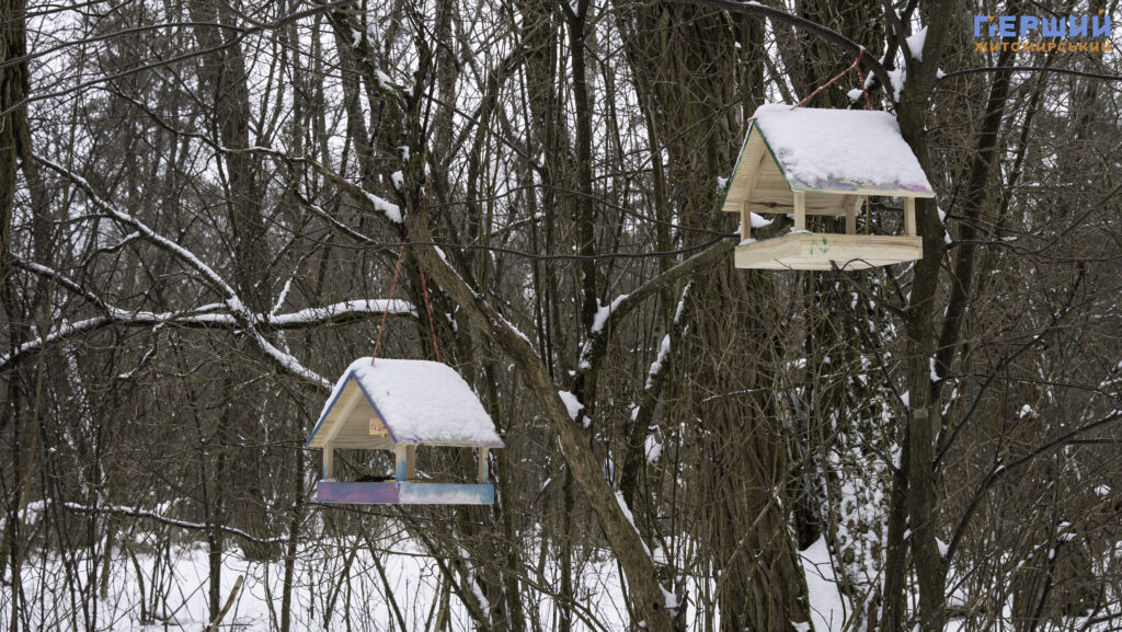 Зимовий Житомир: як містяни проводять вихідні у Гідропарку