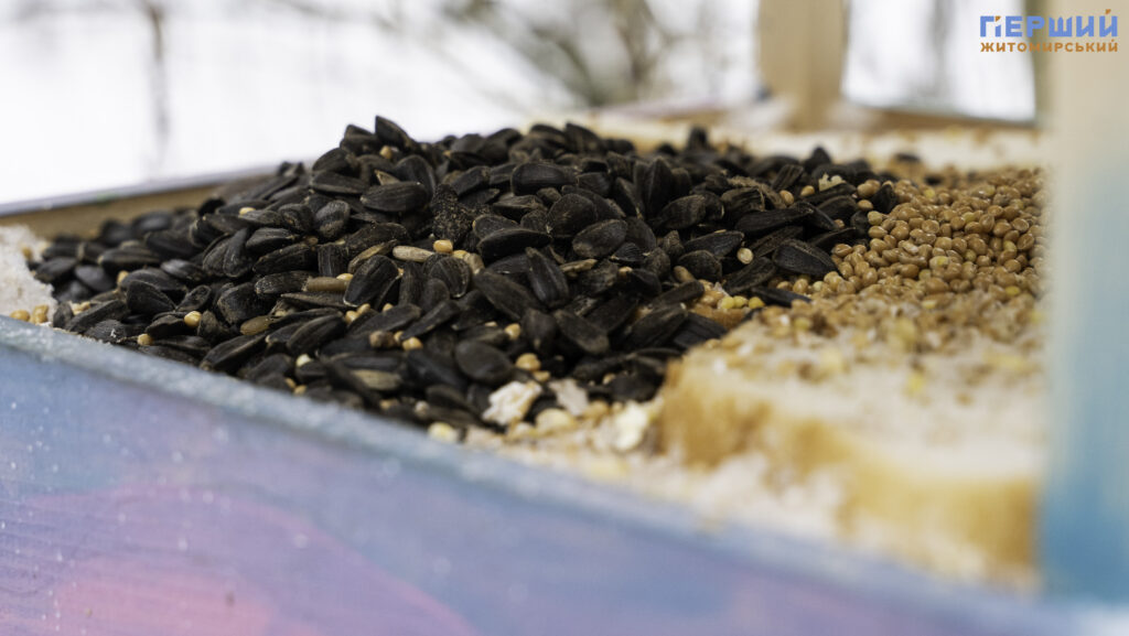 Зимовий Житомир: як містяни проводять вихідні у Гідропарку