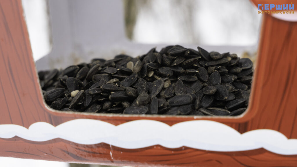 Зимовий Житомир: як містяни проводять вихідні у Гідропарку