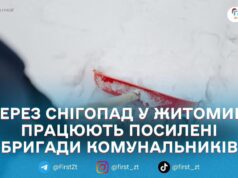У Житомирі комунальники всю ніч прибирали сніг: на дороги виїхали 22 одиниці техніки, – ЖМР