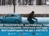 Мокрий сніг, дощ і ожеледиця: синоптикиня попередила про складну погоду на Житомирщині в останній тиждень січня
