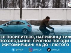 Мокрий сніг, дощ і ожеледиця: синоптикиня попередила про складну погоду на Житомирщині в останній тиждень січня