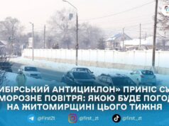 Морози на Житомирщині протримаються ще дві доби: прогноз погоди на 19–25 січня