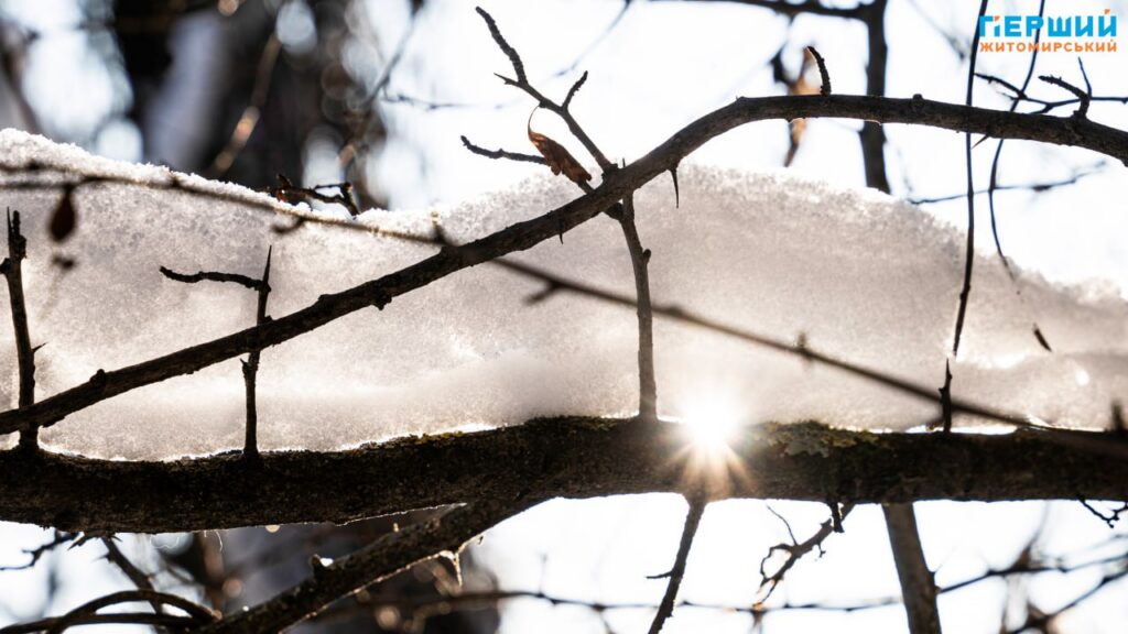 Зимовий Соколовський кар’єр у Житомирі: мороз, сонце і крига