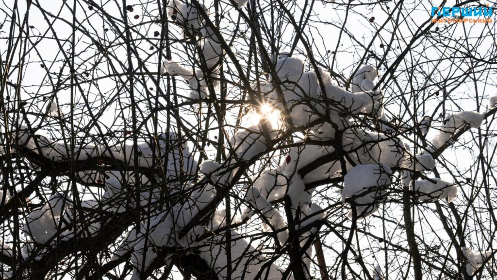 Зимовий Соколовський кар’єр у Житомирі: мороз, сонце і крига