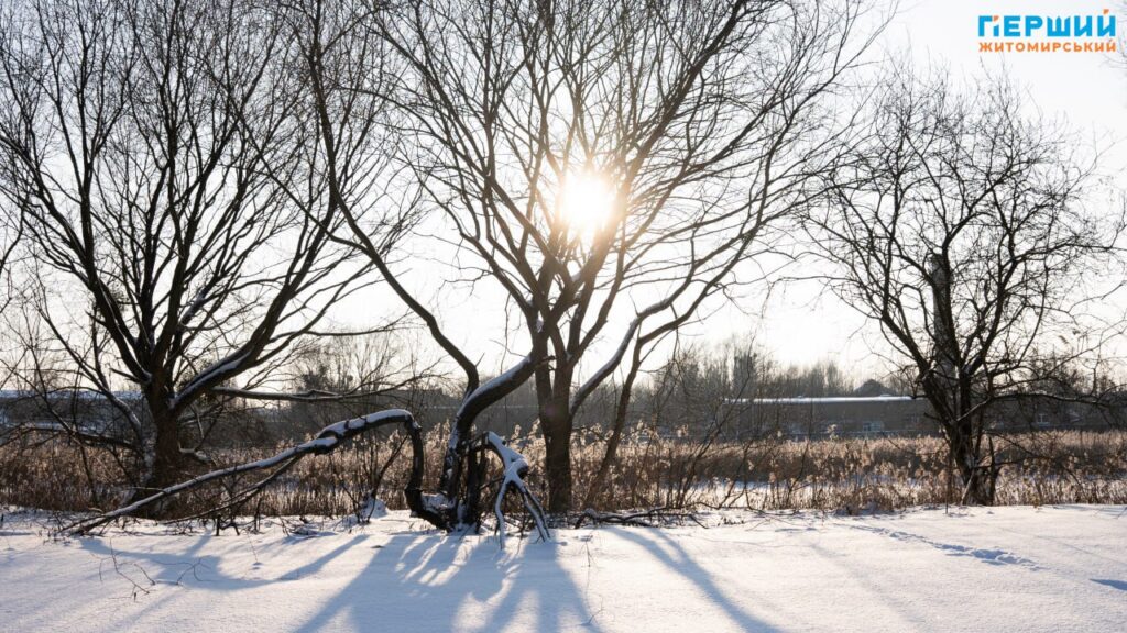 Зимовий Соколовський кар’єр у Житомирі: мороз, сонце і крига