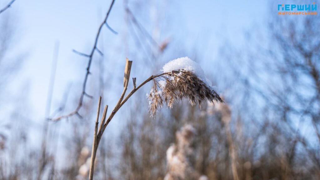 Зимовий Соколовський кар’єр у Житомирі: мороз, сонце і крига