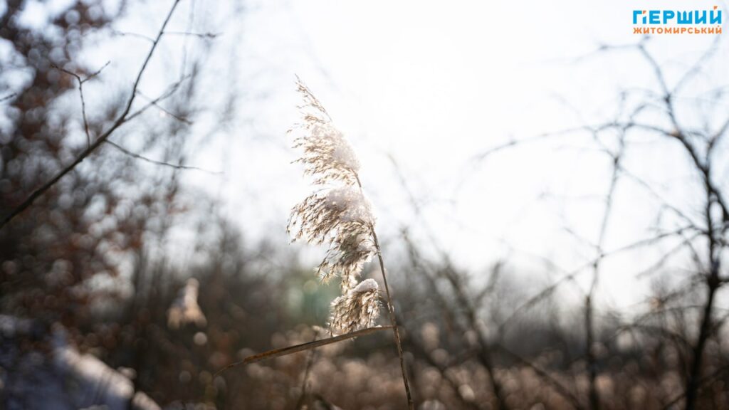 Зимовий Соколовський кар’єр у Житомирі: мороз, сонце і крига