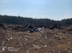 Прокуратура подала позов до «Лісів України» через забруднення земель у Радомишльській громаді на понад 1,6 млн грн